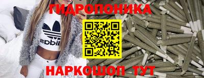 a pvp Славгород