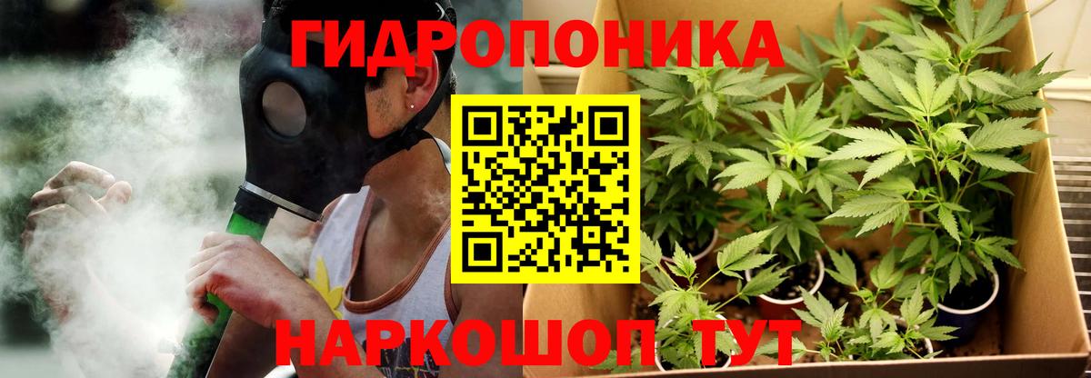 Конопля Bruce Banner Нарткала